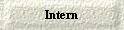 Intern